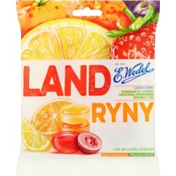LANDRYNY OWOCOWE 90 G WEDEL
