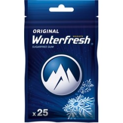 ORBIT TOREBKA WINTERFRESH 35 G