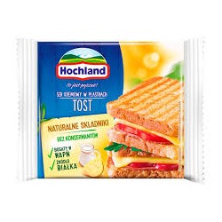 SEREK PLASTRY HOCHLAND TOST...