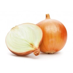 CEBULA KG
