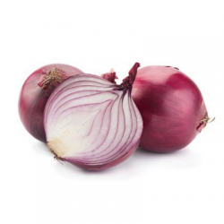 CEBULA CZERWONA KG