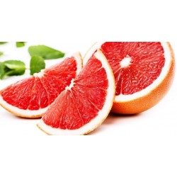 GREJPFRUT KG