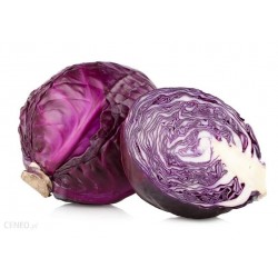 KAPUSTA CZERWONA KG