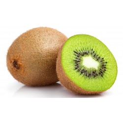 KIWI SZT