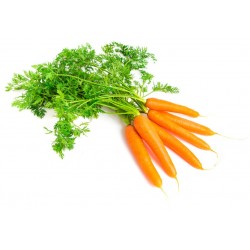 MARCHEW KG