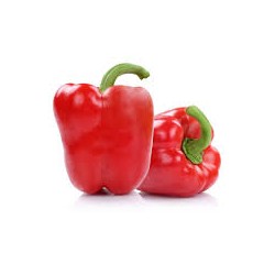 PAPRYKA CZERWONA KG