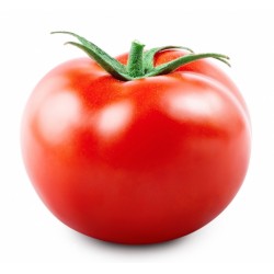 POMIDOR KG