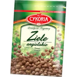 ZIELE ANGIELSKIE 20G CYKORIA